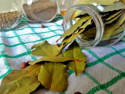 Przyprawy i Zioła w kuchni - liście laurowe